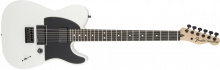 Fender Jim Root Telecaster®