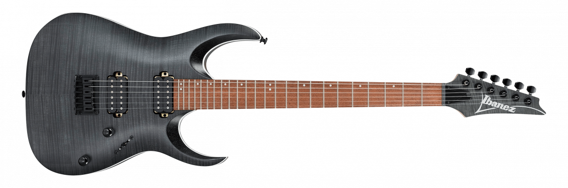 RGA42FM TGF : Transparent Gray Flat